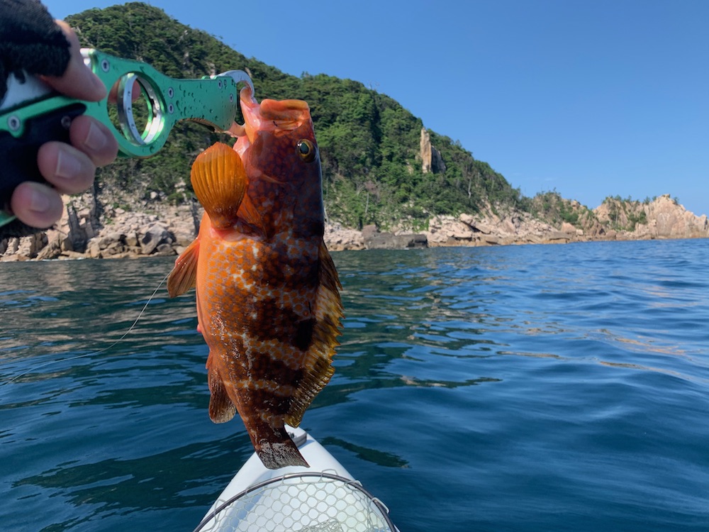 敦賀にカヤックフィッシングに行ってきたら 大型青物が釣れたよ 福井の釣り 毎日釣り日和