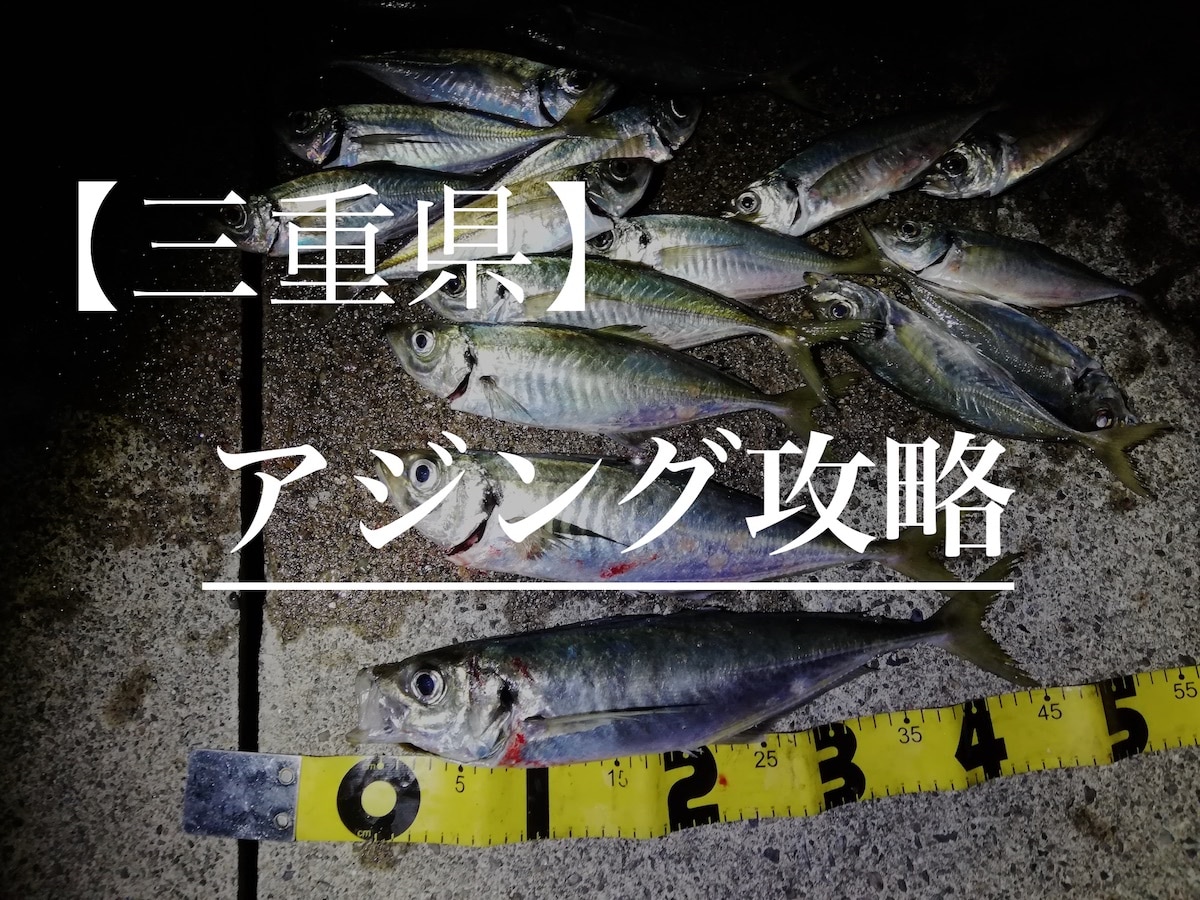 伊勢志摩地方の釣りブログ 釣り情報や田舎暮らし情報を発信 毎日釣り日和